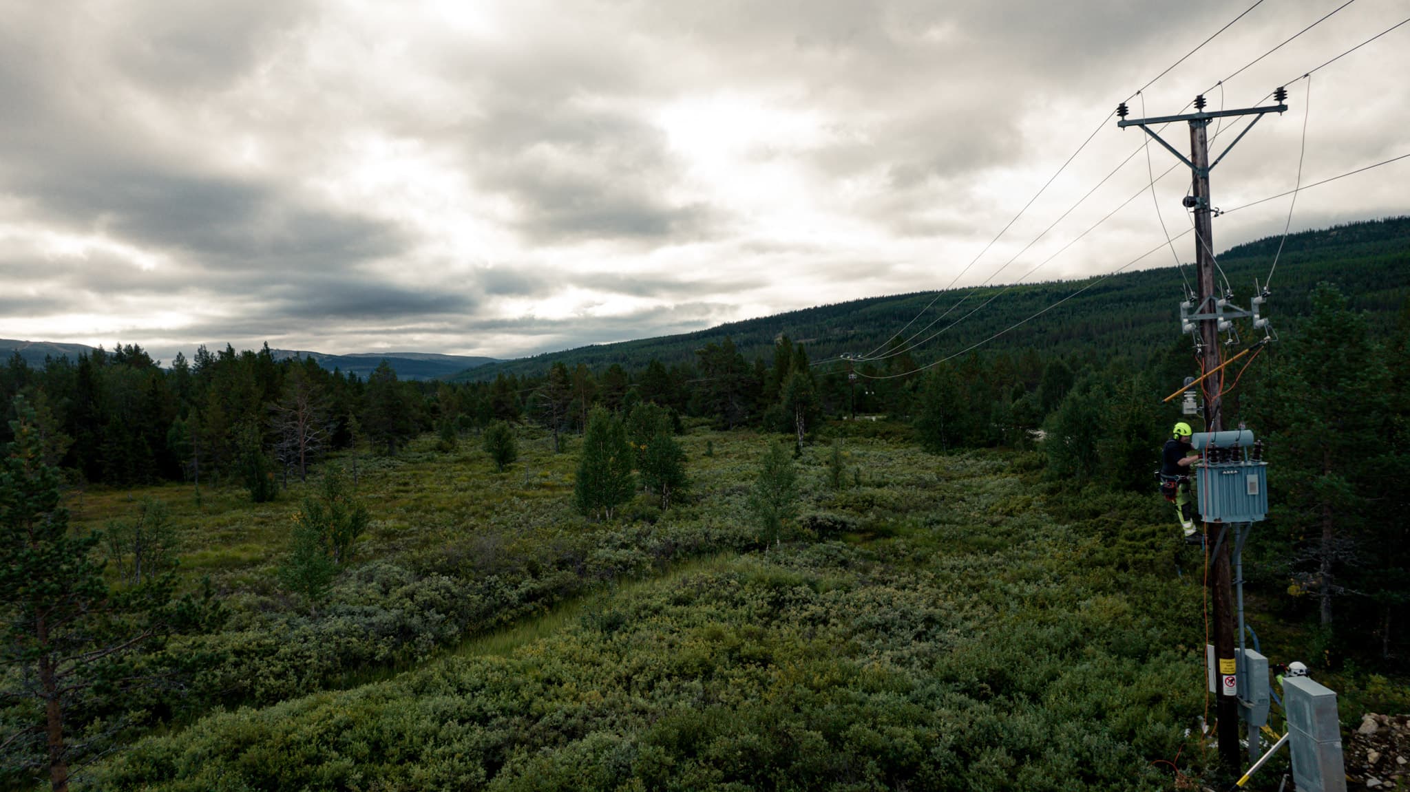 Elledningar och kraftnät från BTEA i Jämtland. Arbete utförs genom att behörig personal klättrar upp i kraftledningsstolparna.