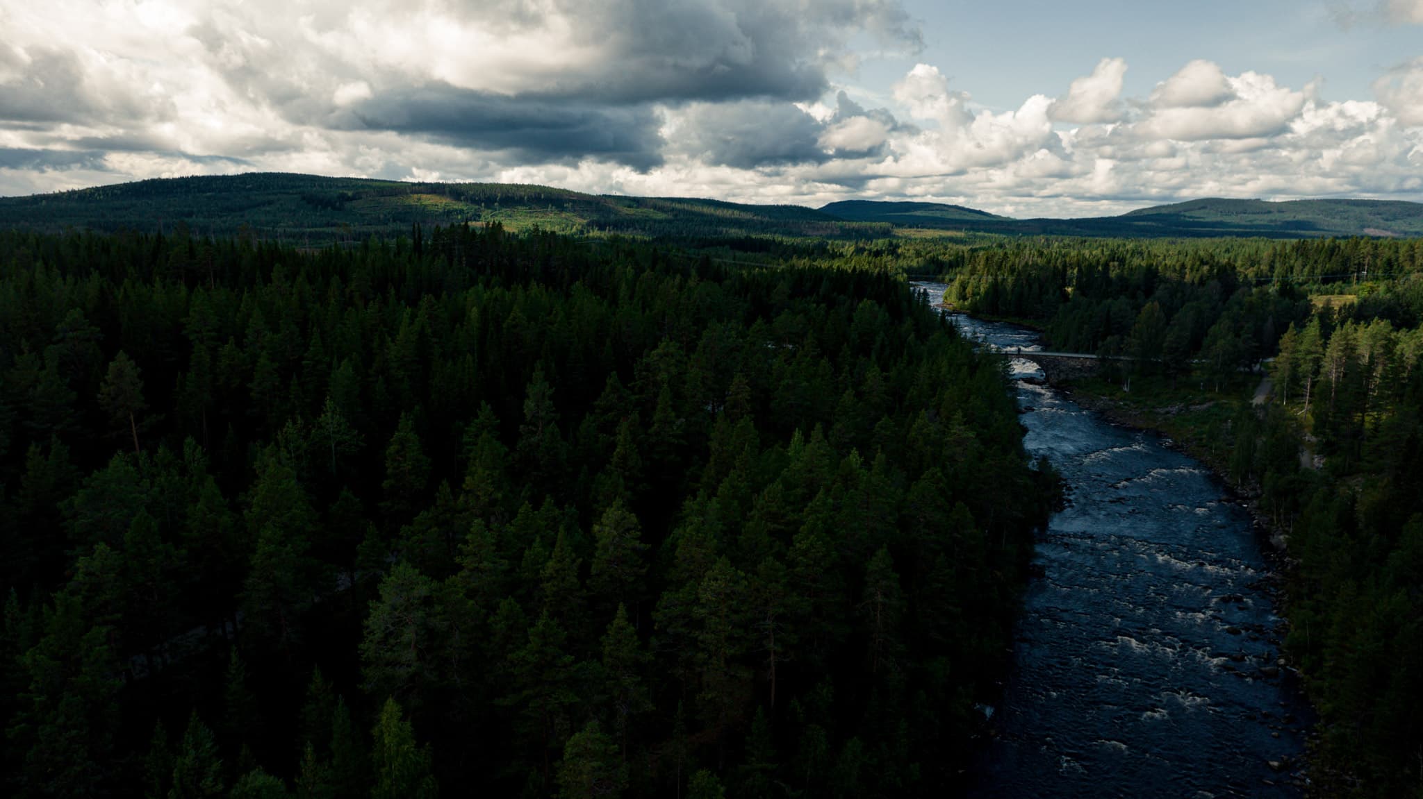 Älv med fors genom skogsmark