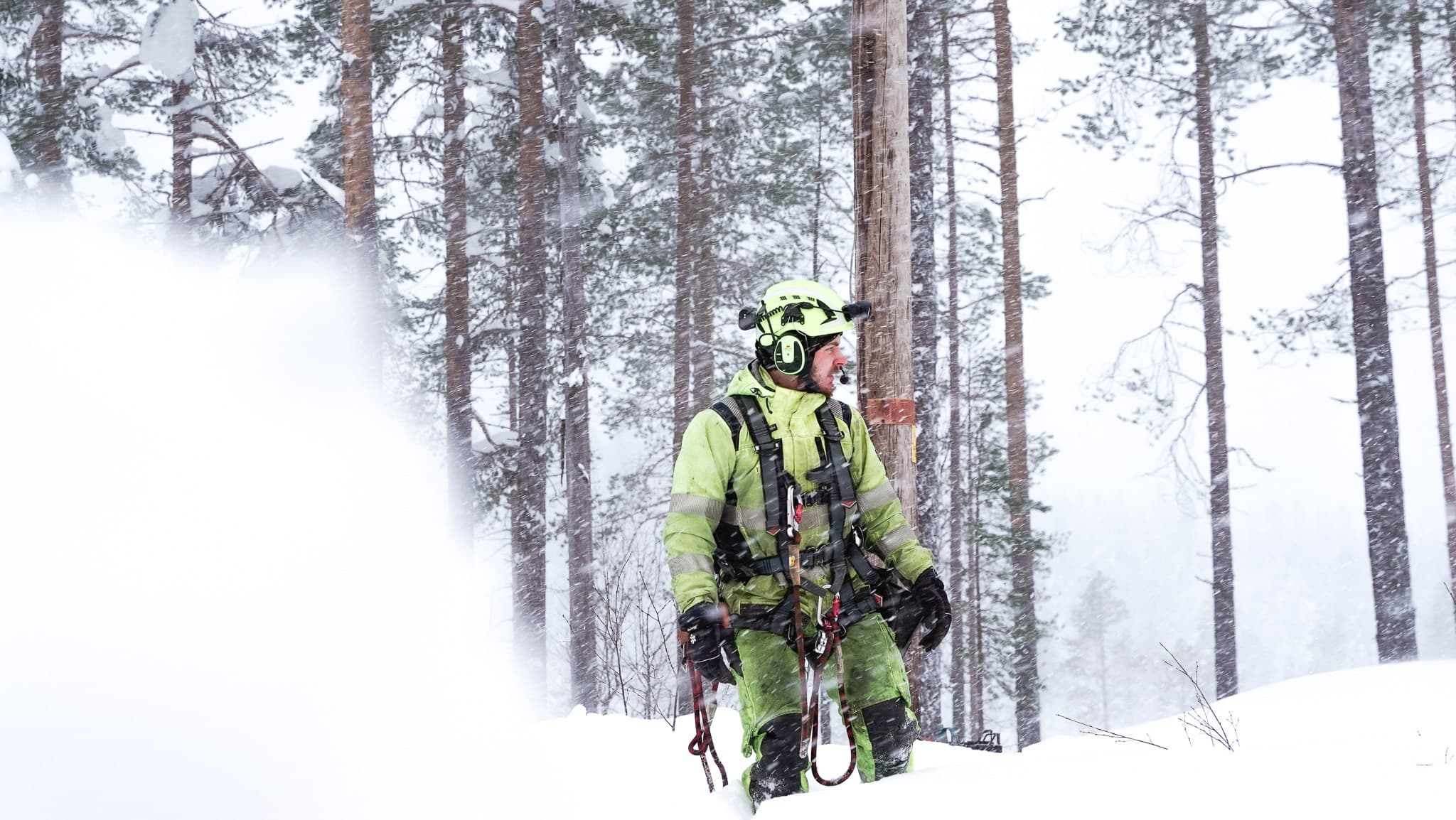 Medarbetare från elnätsbolaget BTEA med säkerhetsutrustning och varselkläder i en snöig skog.