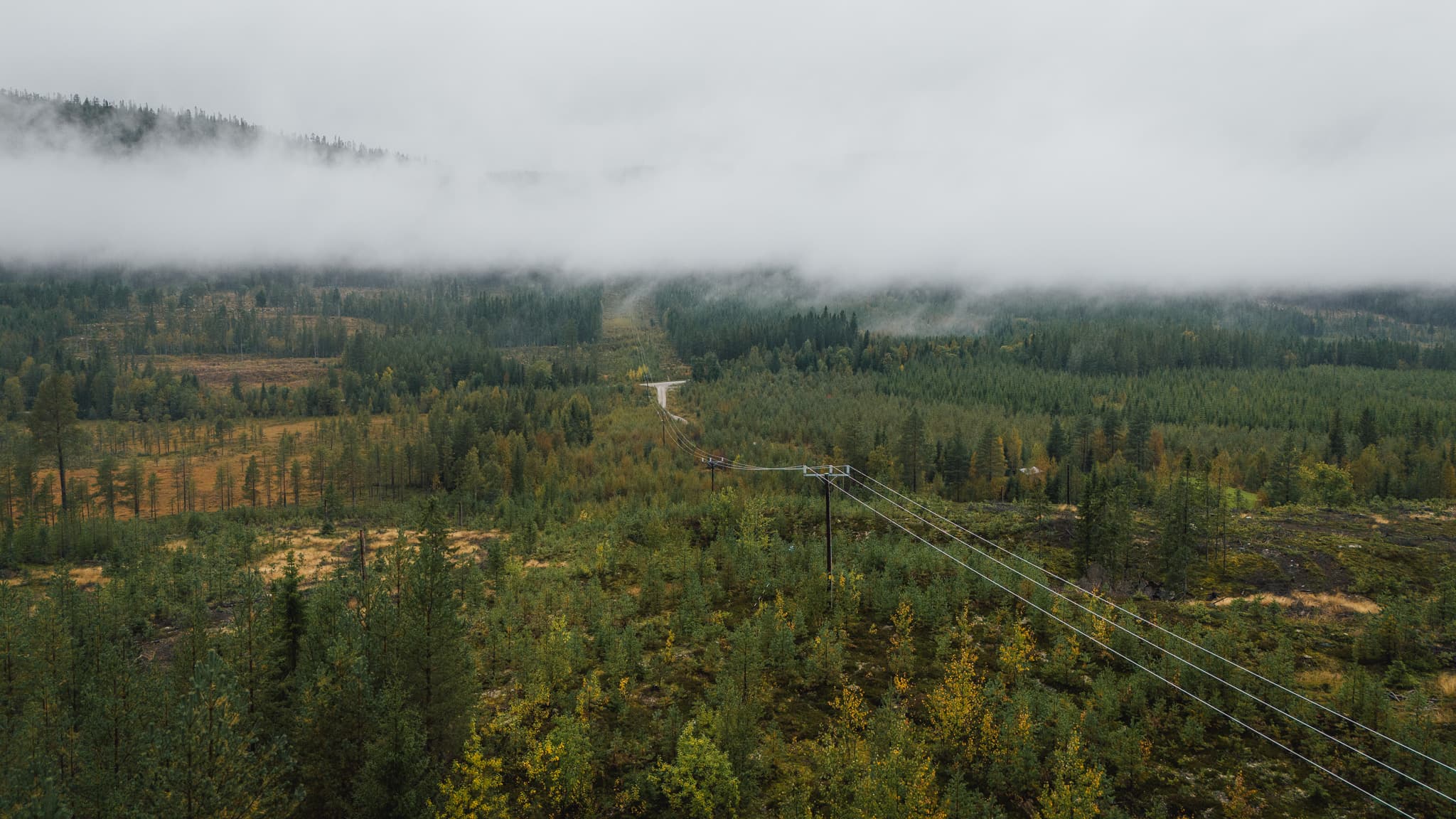 Kraftledningar genom skog vid myrmark med dimma hängande över, en del av BTEAs elnät i Jämtland.